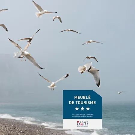 L'oiseau D'or Au Bord De - Cap A Babord Apartmán *