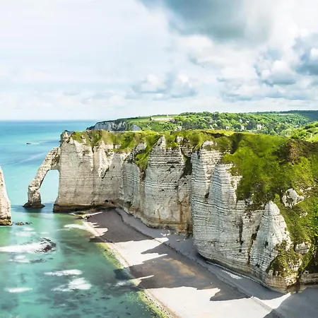 L'oiseau D'or Au Bord De - Cap A Babord Fécamp